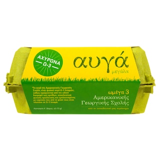 ΑΜΕΡΙΚΑΝΙΚΗ ΓΕΩΡΓΙΚΗ ΣΧΟΛΗ | Φρέσκα Αυγά Αχυρώνα Ω3 Μεγάλα 6 Τεμάχια