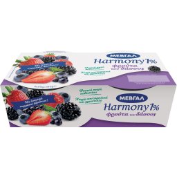 HARMONY | Επιδόρπιο Γιαουρτιού Φρούτα του Δάσους 1% 2x170g