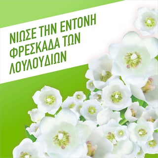 AJAX | Υγρό Καθαρισμού Fete Des Fleurs Λουλούδια Άνοιξης 2x1lt