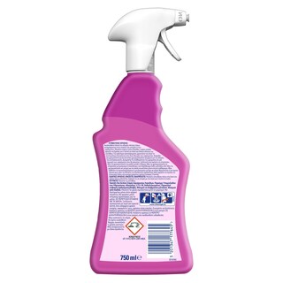 VANISH | Καθαριστικό Spray Λεκέδων Oxi Action 750ml